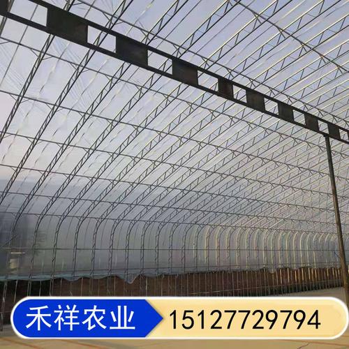 双模大棚骨架 畜牧养殖大棚 桁架双模大棚骨架厂家 禾祥农业示例图6